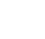 Fiktio ry